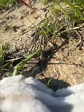 JP_Erotic_LIVE-Camera_ – webcam model profile photo Image 3