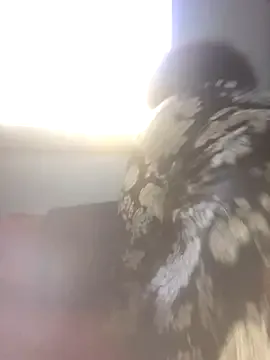 DoriDeluxe66 – webcam model profile photo Image 6